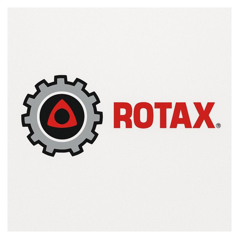 Rotax 122 AA Master Deluxe Service Repair Workshop Manual PDF