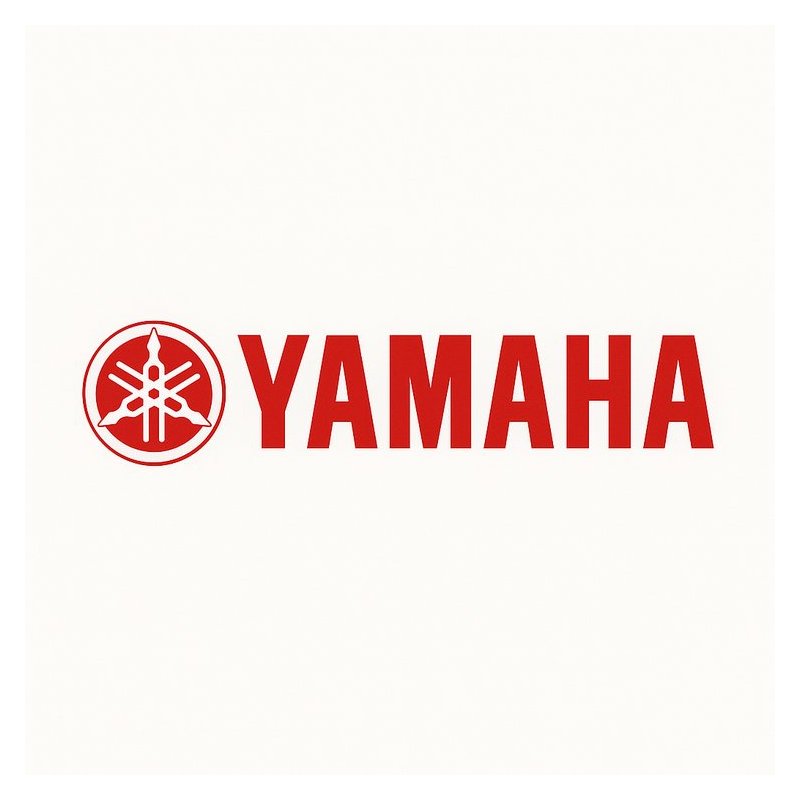 1998-2003 Sterndrive Yamaha XV1600 Roadstar Service Repair Workshop Manual