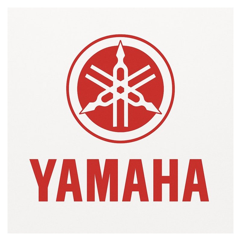 2000 Yamaha Yfm400fwa(m) Service Repair Workshop Manual