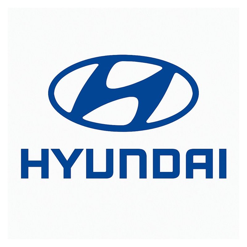 Isuzu N Series Hyundai F4GE Engine F4G Tier 3 Service Repair Workshop Manual