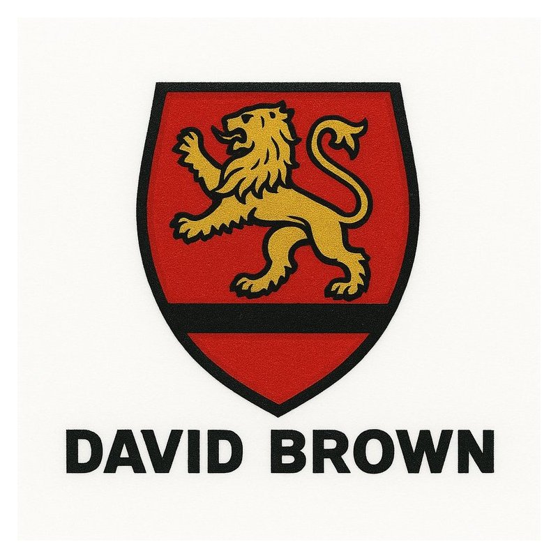 Case 970 1070 Tractors David Brown Tractor Shop Service Repair Workshop Manual PDF
