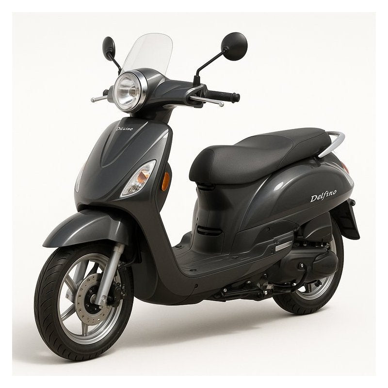 2004 Daelim Delfino 100CC Scooter Service Repair Workshop Manual