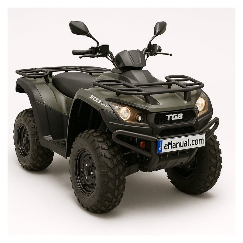 TGB 303 RS Hornet 50 90 Digital Service Repair Workshop Manual