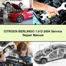 CITROEN BERLINGO 1.9 D 2004 Manual de servicio y reparación