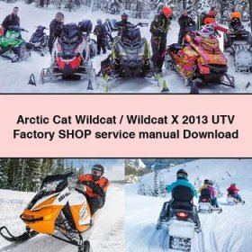 Arctic Cat Wildcat/Wildcat X 2013 UTV Factory Shop Manual de servicio y reparación