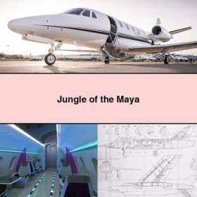Jungle of the Maya