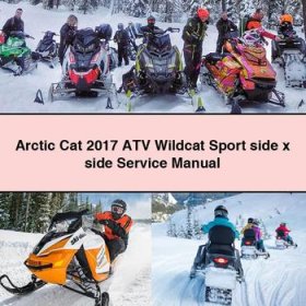 Arctic Cat 2017 ATV Wildcat Sport side x side Manual de servicio y reparación