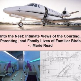 Into the Nest: Intimate Views of the Courting Parenting and Family Lives of Familiar Birds-Marie Read