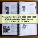 Yanmar Sail Drive Unit SD20 SD30 SD31 Workshop Service Repair Manual EXCACTLY YOU NEED