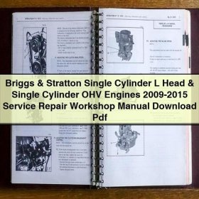Manual de Reparación y Servicio para Motores Briggs & Stratton Monocilíndricos L Head y OHV (2009-2015)