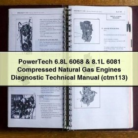 Technische Diagnosehandbuch für PowerTech Erdgasmotoren (6,8L 6068 & 8,1L 6081)