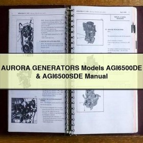 AURORA GENERATORS Models AGI6500DE & AGI6500SDE Manual