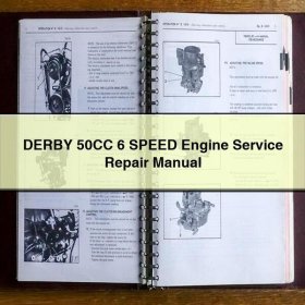 Manual de Reparación y Servicio del Motor DERBY 50CC 6 Velocidades
