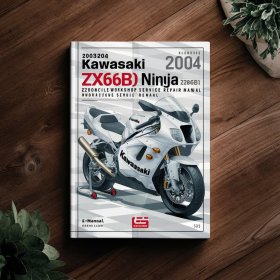 Manual de Taller Kawasaki ZX636B1 ZX600K1 (2003-2004)