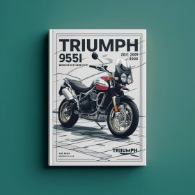 Triumph 955i Tiger 2001-2006 Workshop Manual de servicio y reparación