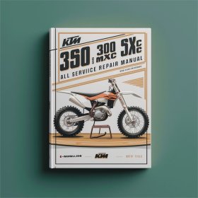 KTM 250/300/380 SX/MXC/EXC (2003) Werkstatt-Handbuch