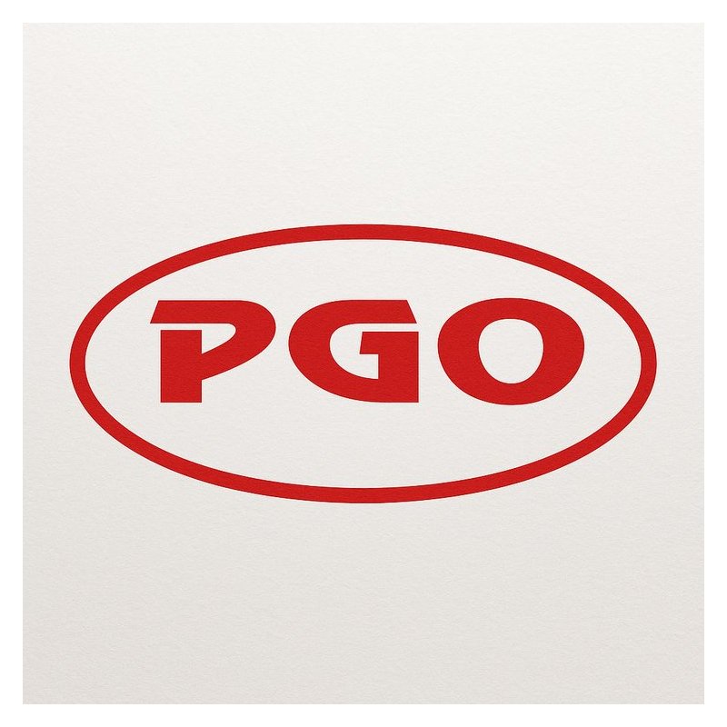 PGO PA100 PA125 Buddy125 Service Repair Workshop Manual PDF