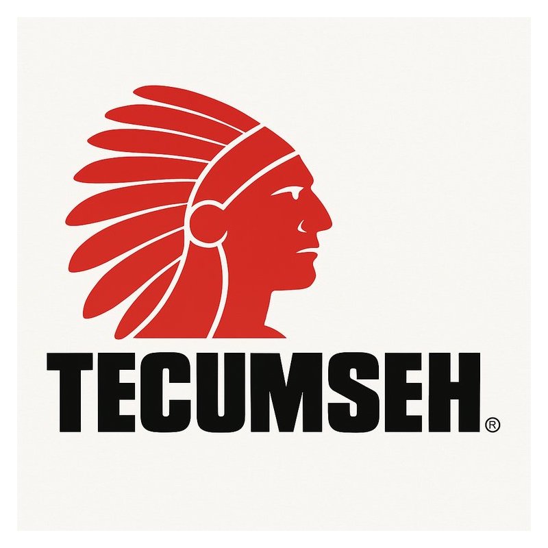 Tecumseh 2 Cycle Models Vlv-vector-4-cycle Technicians Service Repair Workshop Manual PDF