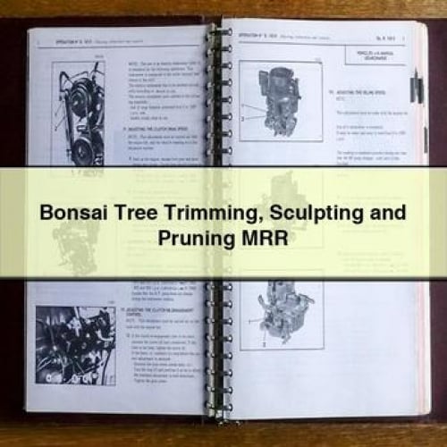 Bonsai Tree Trimming Sculpting and Pruning MRR