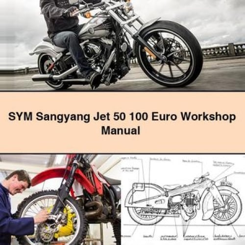 SYM Sangyang Jet 50 100 Euro Workshop Manual PDF Download