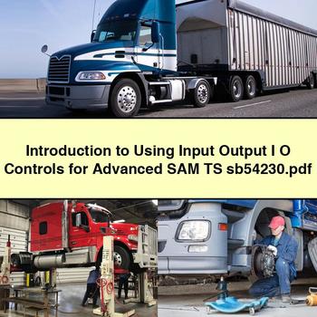 Introduction to Using Input Output I O Controls for Advanced SAM TS sb54230
