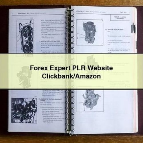 Forex Expert PLR Website Clickbank/Amazon