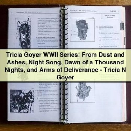 Tricia Goyer WWII Series: From Dust and Ashes Night Song Dawn of a Thousand Nights and Arms of Deliverance - Tricia N Goyer