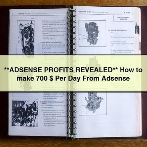 **ADSENSE PROFITS REVEALED** How to make 700 $ Per Day From Adsense