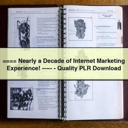 ==== Nearly a Decade of Internet Marketing Experience ----- - Quality PLR Download