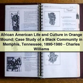 Vie et culture afro-américaines à Orange Mound : étude de cas d'une communauté noire à Memphis Tennessee 1890-1980-Charles Williams