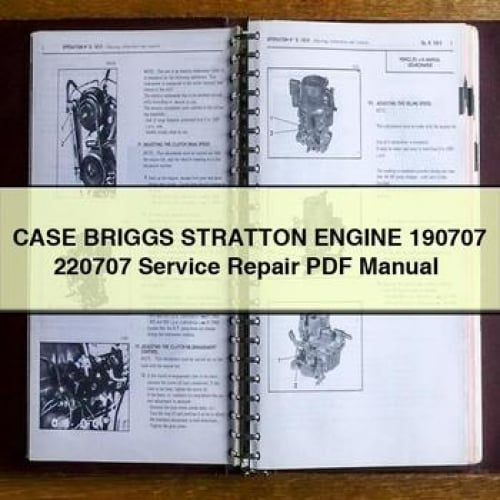 CASE BRIGGS STRATTON Engine 190707 220707 Service Repair Manual