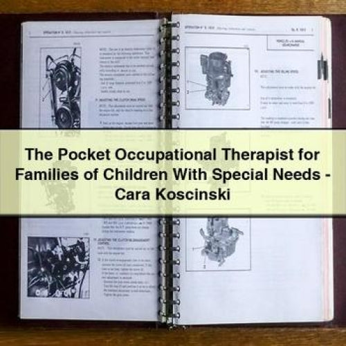 The Pocket Occupational Therapist for Families of Children With Special Needs - Cara Koscinski