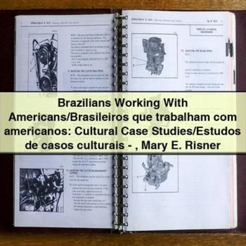 Brésiliens travaillant avec des Américains/Brasileros que trabalham com americanos: Cultural Case Studies/Estudos de casos culturais-Mary E. Risner