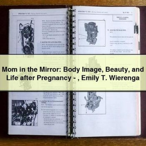 Mom in the Mirror: Body Image Beauty and Life after Pregnancy - Emily T. Wierenga