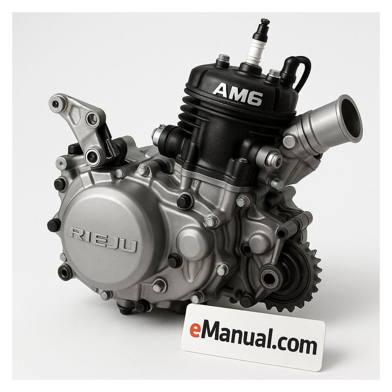 2003 Rieju AM6 EM6 Engine Digital Onward Service Repair Workshop Manual PDF