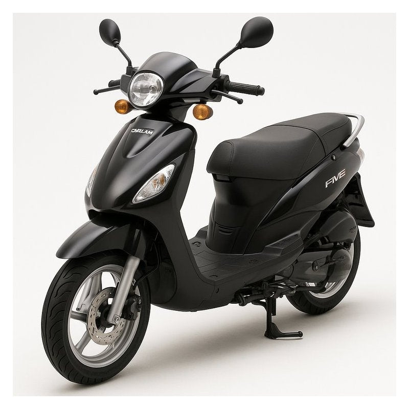 2002-2009 Daelim E Five Scooter Service Repair Workshop Manual