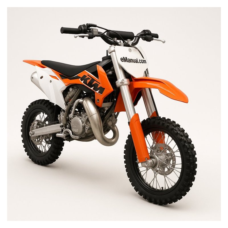 2010 KTM 65 Service Repair Workshop Manual