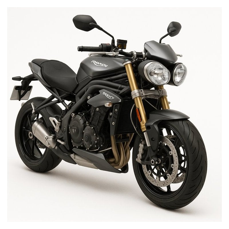 2005-2010 Triumph Speed Triple 1050 Service Repair Workshop Manual